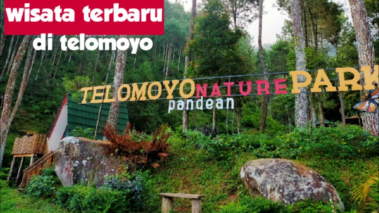 Telomoyo Nature Park: Menikmati Keindahan Alam di Lereng Merapi